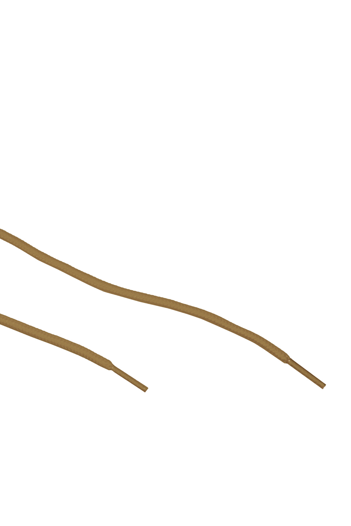MR00007204_1.jpg