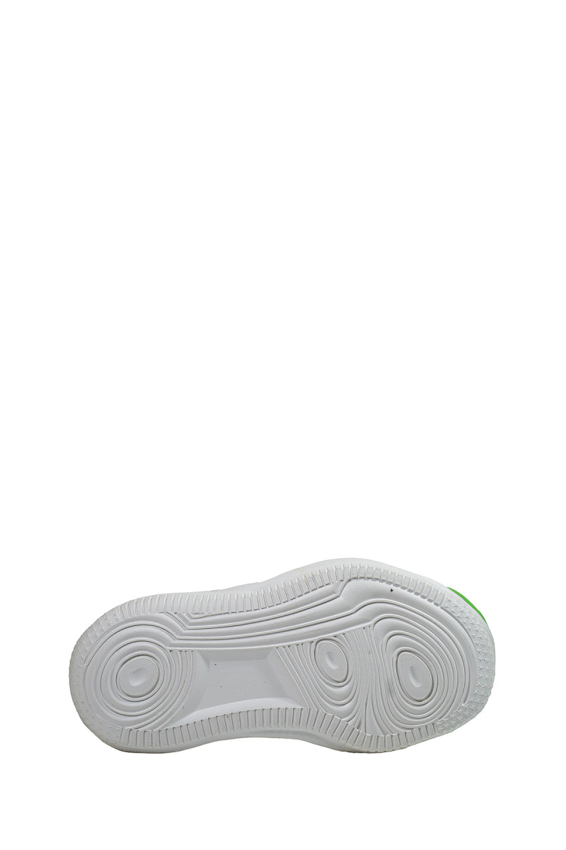 MR00008669_3.jpg
