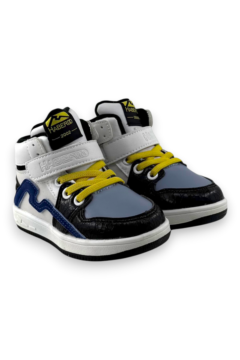 MR00011998_5.png