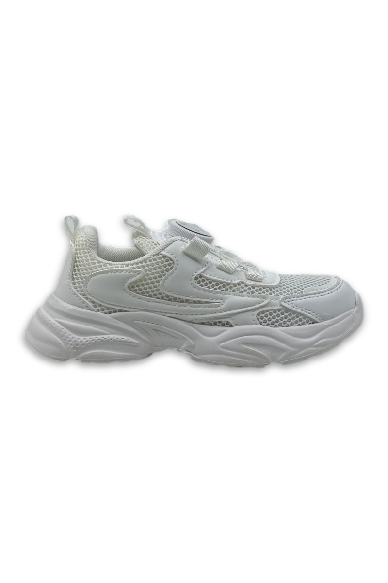 MR00013045_2.png