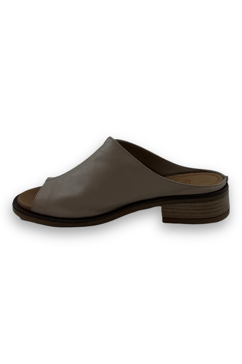 MR00013784_4.png