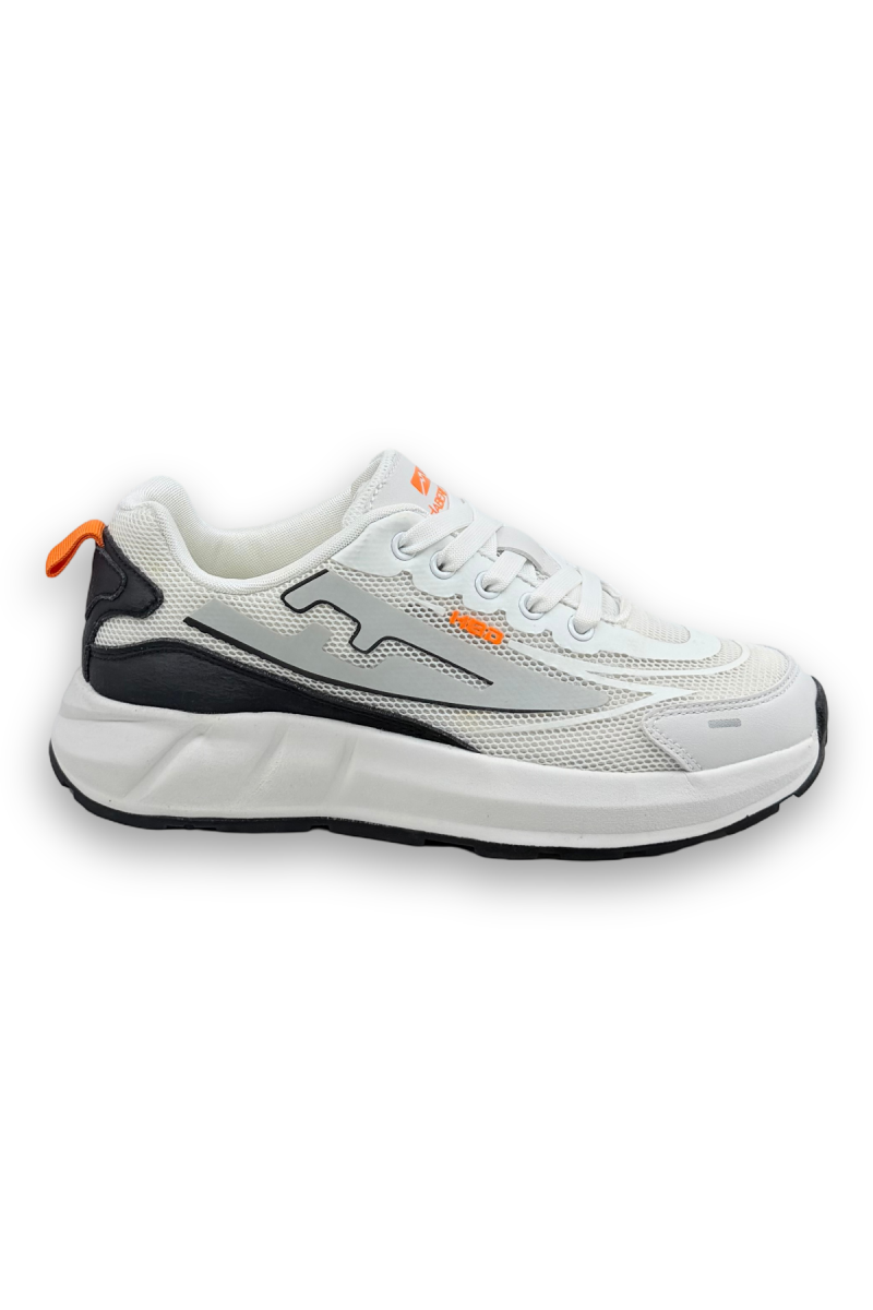 MR00015465_2.png